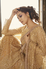 Beige Embellished Saree
